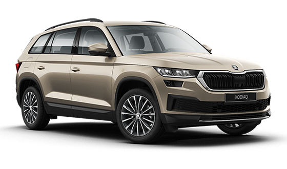Π’Π΅ΡΡ-Π΄ΡΠ°ΠΉΠ² Skoda Kodiaq New